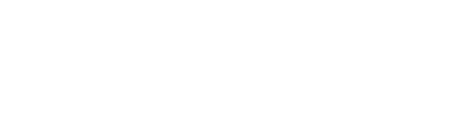 Brenda Houston