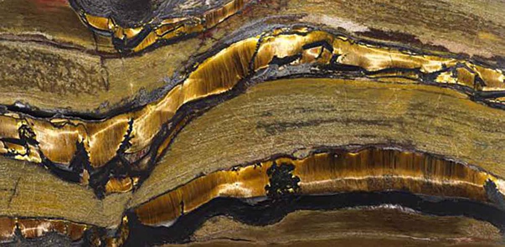 Tigers eye 