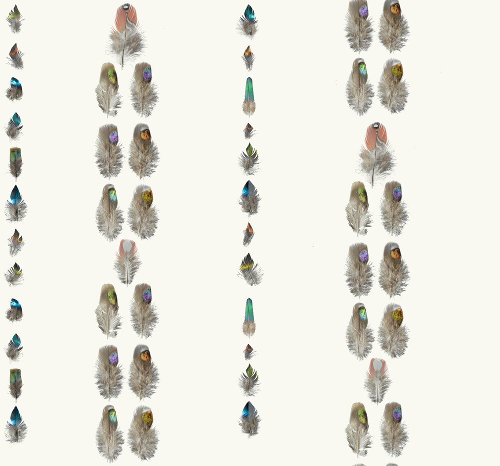 A82e7e6a f64b 446d aff3 ed1bfe3a062e