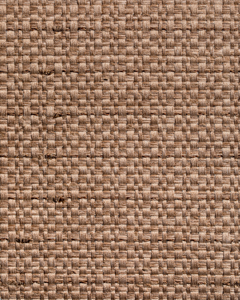 Coconut island cocoa