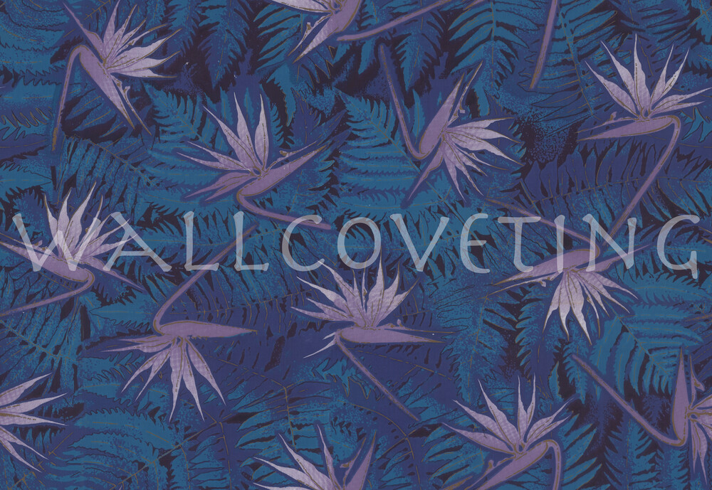 Birds of paradise   blue