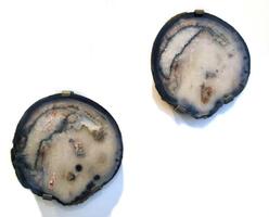 Aeedd4a6 cb0d 48cb a36f 2ff0aeefdd5c