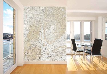 Unadjustednonraw mini 55f