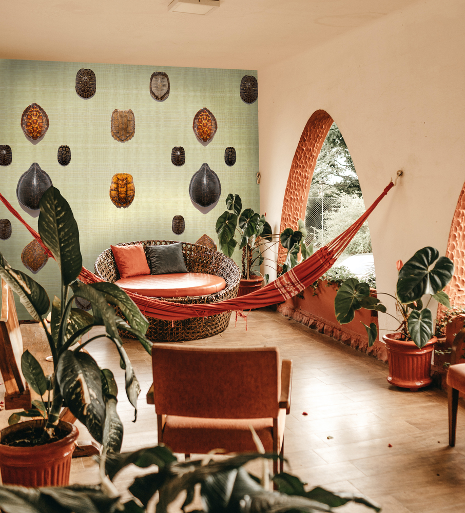 Turtle shell lifestyle cropped