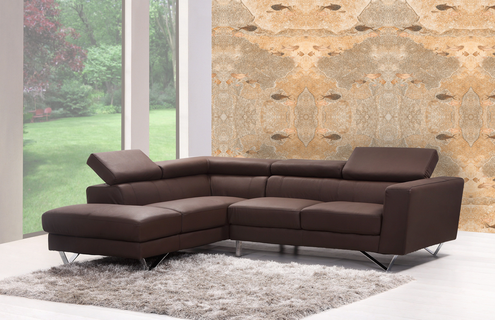 Lifestyleshot fossilfish