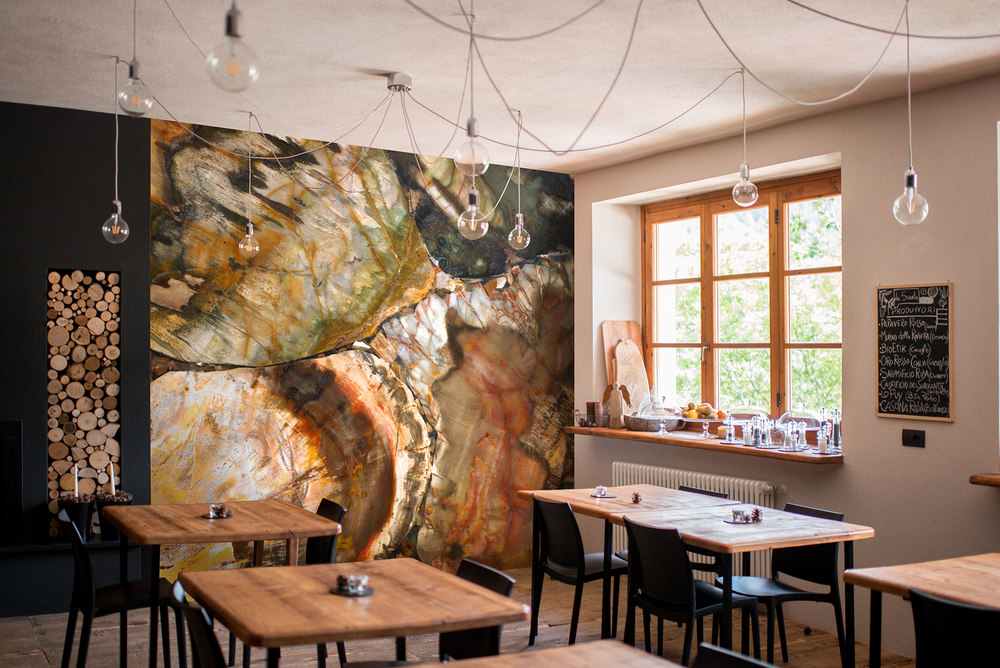 Fossilized wood lifestyle for website