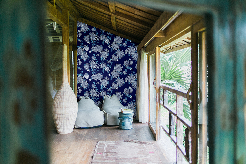 Blue chrysanthemum   navy lifestyle for website