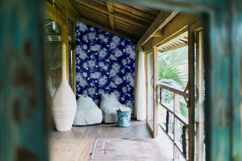 Blue chrysanthemum   navy lifestyle